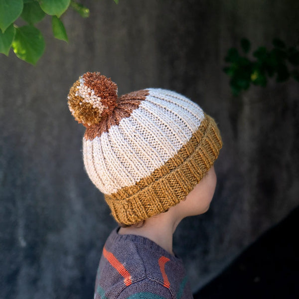 Kids Flat Knit Colorblock Hat