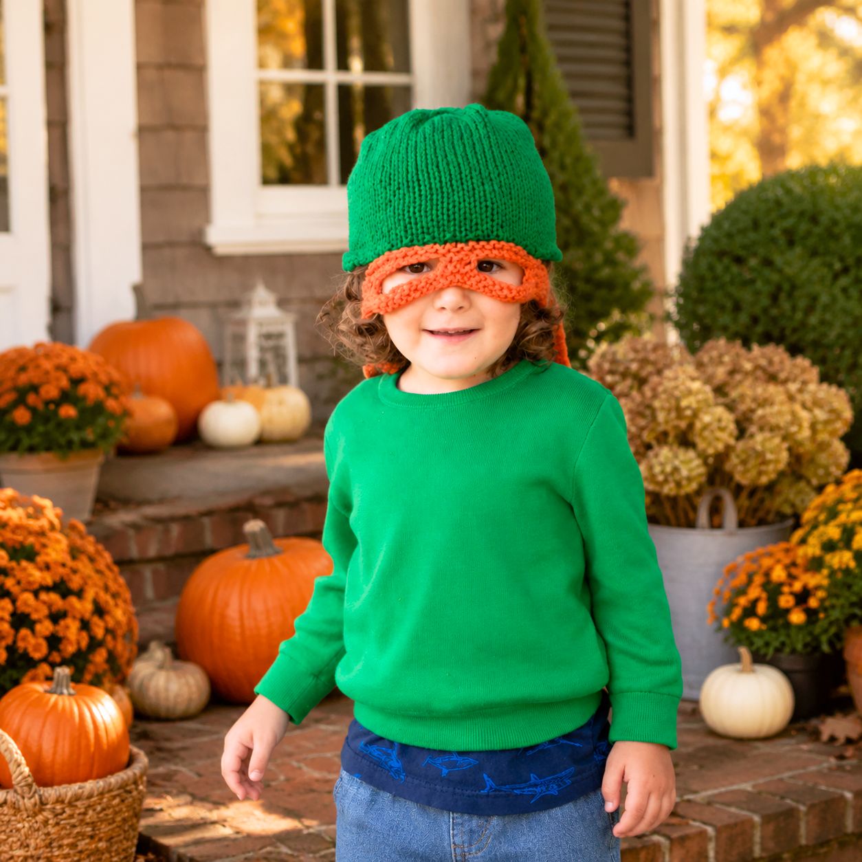 Teenage Mutant Ninja Turtles Knit Hat Pattern